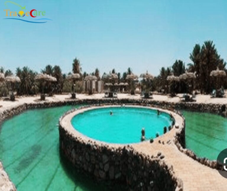 Modern Fertility & IVF Success in Egypt: A Comprehensive Patient Guide