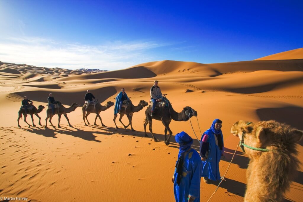 Travecare